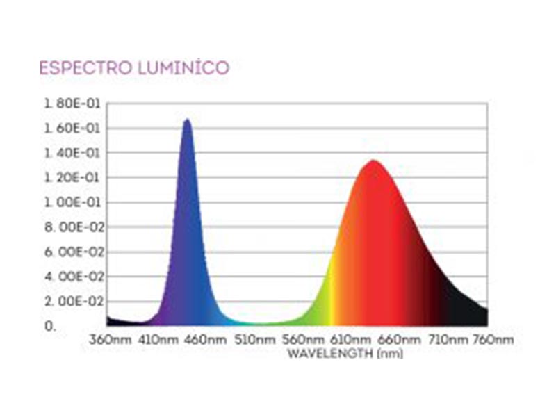 Foto 02