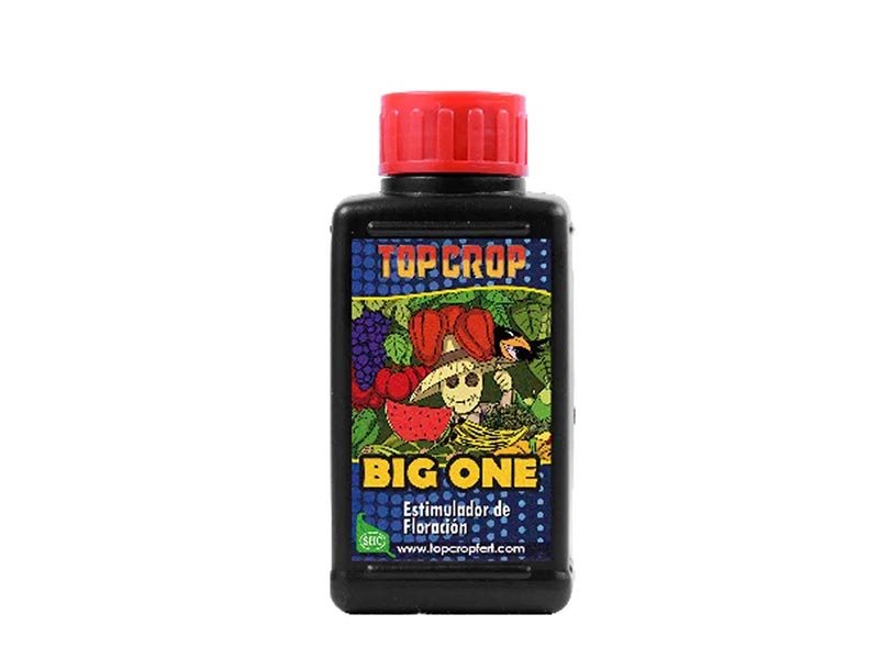 Big One (Bioestimulante Floraci?n) 100 ml.