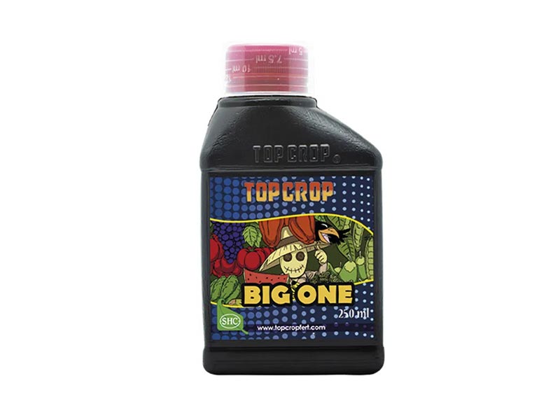 Big One (Bioestimulante Floraci?n) 250 ml.